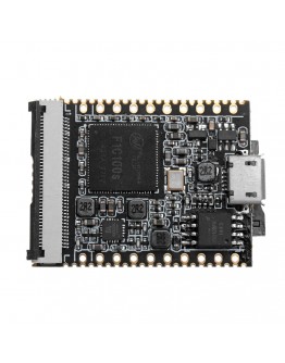 Lichee Pi NanoFW(16M) Cross-Border Core Board ARM 926EJS 32MB DDR with WIFI Module + TF WIFI Adapter Development Board Mini PC